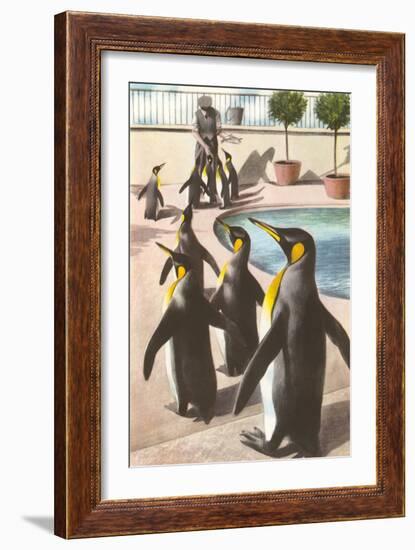 Penguins at the Zoo-null-Framed Art Print