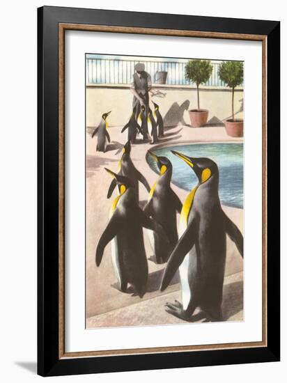 Penguins at the Zoo-null-Framed Art Print