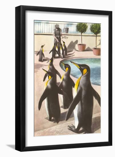 Penguins at the Zoo-null-Framed Art Print