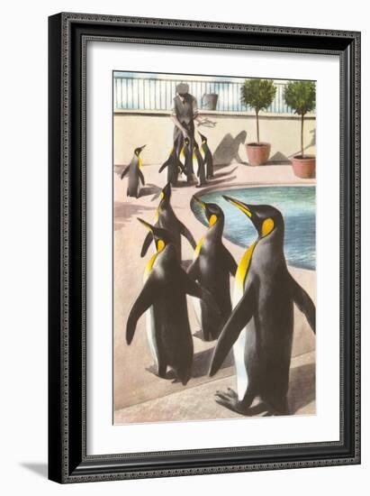 Penguins at the Zoo-null-Framed Art Print