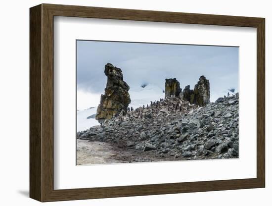 Penguins below dramatic rock formations, Half Moon Bay, South Sheltand Islands, Antarctica, Polar R-Michael Runkel-Framed Photographic Print