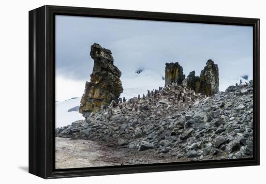 Penguins below dramatic rock formations, Half Moon Bay, South Sheltand Islands, Antarctica, Polar R-Michael Runkel-Framed Premier Image Canvas