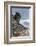 Penguins below dramatic rock formations, Half Moon Bay, South Sheltand islands, Antarctica-Michael Runkel-Framed Photographic Print