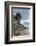 Penguins below dramatic rock formations, Half Moon Bay, South Sheltand islands, Antarctica-Michael Runkel-Framed Photographic Print