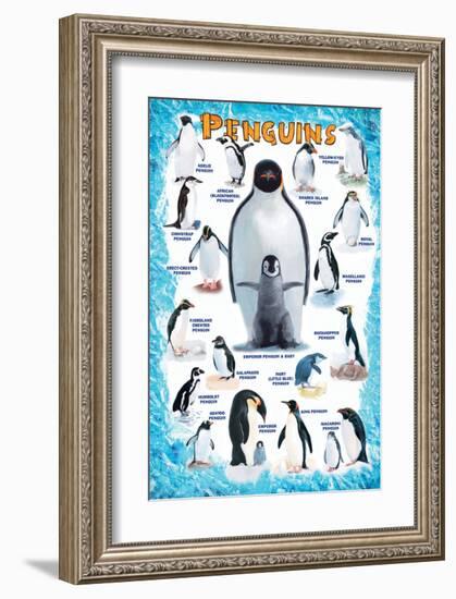 Penguins for Kids-null-Framed Premium Giclee Print