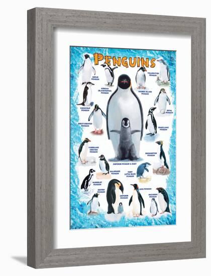 Penguins for Kids-null-Framed Premium Giclee Print