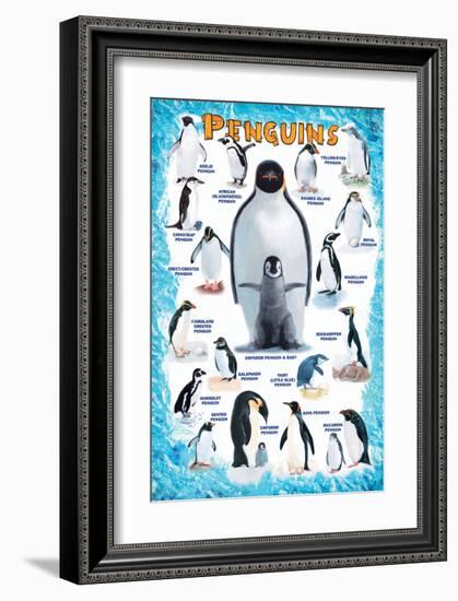 Penguins for Kids-null-Framed Premium Giclee Print