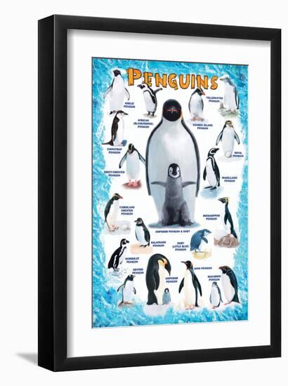 Penguins for Kids-null-Framed Premium Giclee Print