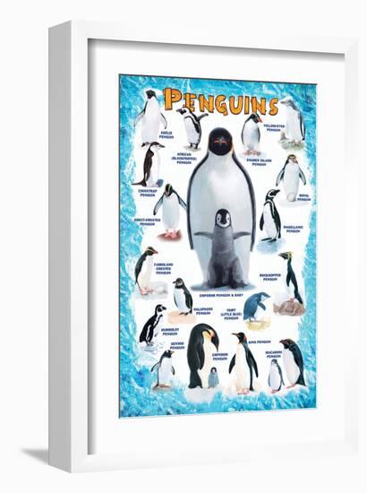 Penguins for Kids-null-Framed Premium Giclee Print