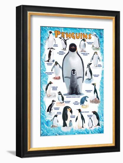 Penguins for Kids-null-Framed Art Print