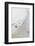 Penguins, Hope Bay, Antarctica, Polar Regions-Michael Runkel-Framed Photographic Print