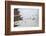 Penguins, Hope Bay, Antarctica, Polar Regions-Michael Runkel-Framed Photographic Print