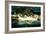 Penguins, Loro Parque, Tenerife, Canary Islands, 2007-Peter Thompson-Framed Photographic Print