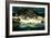 Penguins, Loro Parque, Tenerife, Canary Islands, 2007-Peter Thompson-Framed Photographic Print