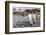 Penguins of Salisbury Plain-Karen Lunney-Framed Photographic Print