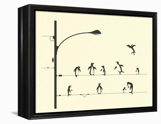 Penguins on aWire-Jazzberry Blue-Framed Stretched Canvas