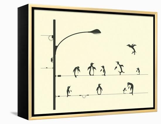 Penguins on aWire-Jazzberry Blue-Framed Stretched Canvas