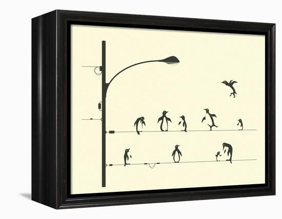 Penguins on aWire-Jazzberry Blue-Framed Stretched Canvas