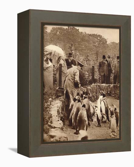 Penguins on parade for the King, 1934 (1935)-Unknown-Framed Premier Image Canvas