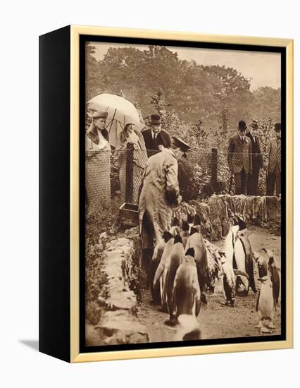 Penguins on parade for the King, 1934 (1935)-Unknown-Framed Premier Image Canvas