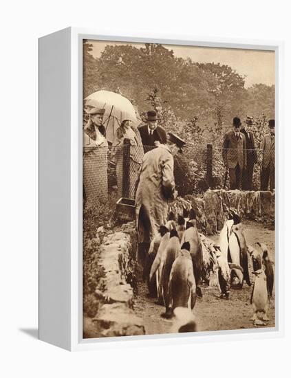 Penguins on parade for the King, 1934 (1935)-Unknown-Framed Premier Image Canvas