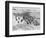 Penguins on the Beach at Dassen Island off the Coast of South Africa, 1935-null-Framed Photographic Print