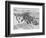 Penguins on the Beach at Dassen Island off the Coast of South Africa, 1935-null-Framed Photographic Print