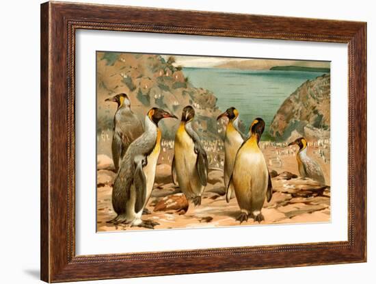 Penguins-F.W. Kuhnert-Framed Art Print