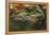 Penicillium Digitatum (Green Mould of Citrus Fruits)-Paul Starosta-Framed Premier Image Canvas