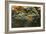 Penicillium Digitatum (Green Mould of Citrus Fruits)-Paul Starosta-Framed Photographic Print