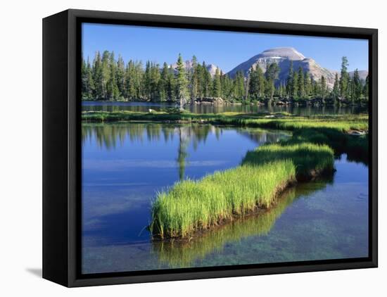 Peninsula, Margo Lake in Ashley National Forest, High Uintas Wilderness, Utah, USA-Scott T. Smith-Framed Premier Image Canvas