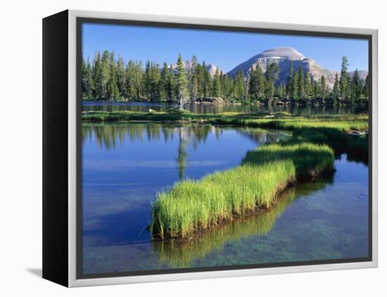 Peninsula, Margo Lake in Ashley National Forest, High Uintas Wilderness, Utah, USA-Scott T. Smith-Framed Premier Image Canvas