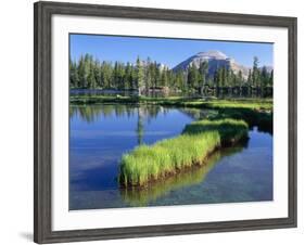 Peninsula, Margo Lake in Ashley National Forest, High Uintas Wilderness, Utah, USA-Scott T. Smith-Framed Photographic Print