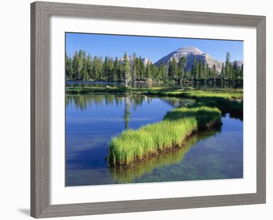 Peninsula, Margo Lake in Ashley National Forest, High Uintas Wilderness, Utah, USA-Scott T. Smith-Framed Photographic Print