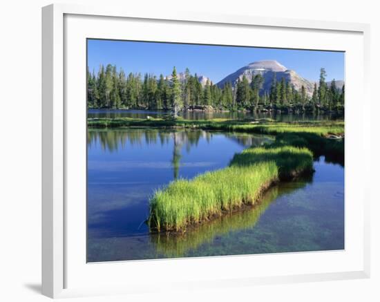 Peninsula, Margo Lake in Ashley National Forest, High Uintas Wilderness, Utah, USA-Scott T. Smith-Framed Photographic Print