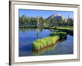 Peninsula, Margo Lake in Ashley National Forest, High Uintas Wilderness, Utah, USA-Scott T. Smith-Framed Photographic Print