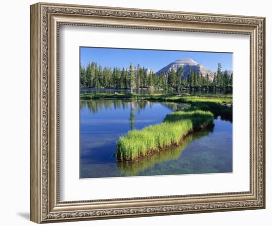 Peninsula, Margo Lake in Ashley National Forest, High Uintas Wilderness, Utah, USA-Scott T. Smith-Framed Photographic Print