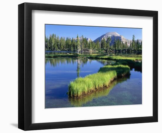 Peninsula, Margo Lake in Ashley National Forest, High Uintas Wilderness, Utah, USA-Scott T. Smith-Framed Photographic Print