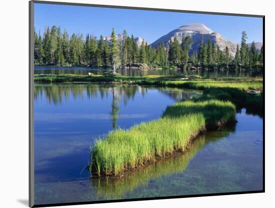 Peninsula, Margo Lake in Ashley National Forest, High Uintas Wilderness, Utah, USA-Scott T. Smith-Mounted Photographic Print