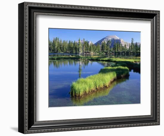 Peninsula, Margo Lake in Ashley National Forest, High Uintas Wilderness, Utah, USA-Scott T. Smith-Framed Photographic Print