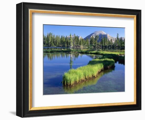 Peninsula, Margo Lake in Ashley National Forest, High Uintas Wilderness, Utah, USA-Scott T. Smith-Framed Photographic Print