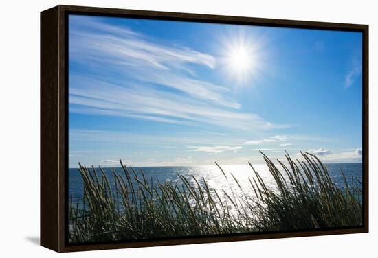 Peninsula Reykjanes, Iceland, Gardskagi, Sea Grass and Sun-Catharina Lux-Framed Premier Image Canvas