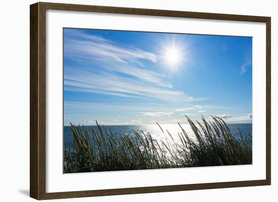 Peninsula Reykjanes, Iceland, Gardskagi, Sea Grass and Sun-Catharina Lux-Framed Photographic Print