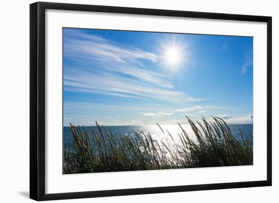 Peninsula Reykjanes, Iceland, Gardskagi, Sea Grass and Sun-Catharina Lux-Framed Photographic Print