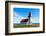 Peninsula Snaefellsnes, Church in Hellnar-Catharina Lux-Framed Photographic Print