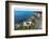 Peninsula Snaefellsnes-Catharina Lux-Framed Photographic Print