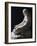 Penitent Magdalene-Antonio Canova-Framed Giclee Print