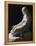 Penitent Magdalene-Antonio Canova-Framed Premier Image Canvas