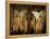 Penitents Follow La Macarena During a Holy Week Procession-null-Framed Premier Image Canvas