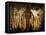 Penitents Follow La Macarena During a Holy Week Procession-null-Framed Premier Image Canvas